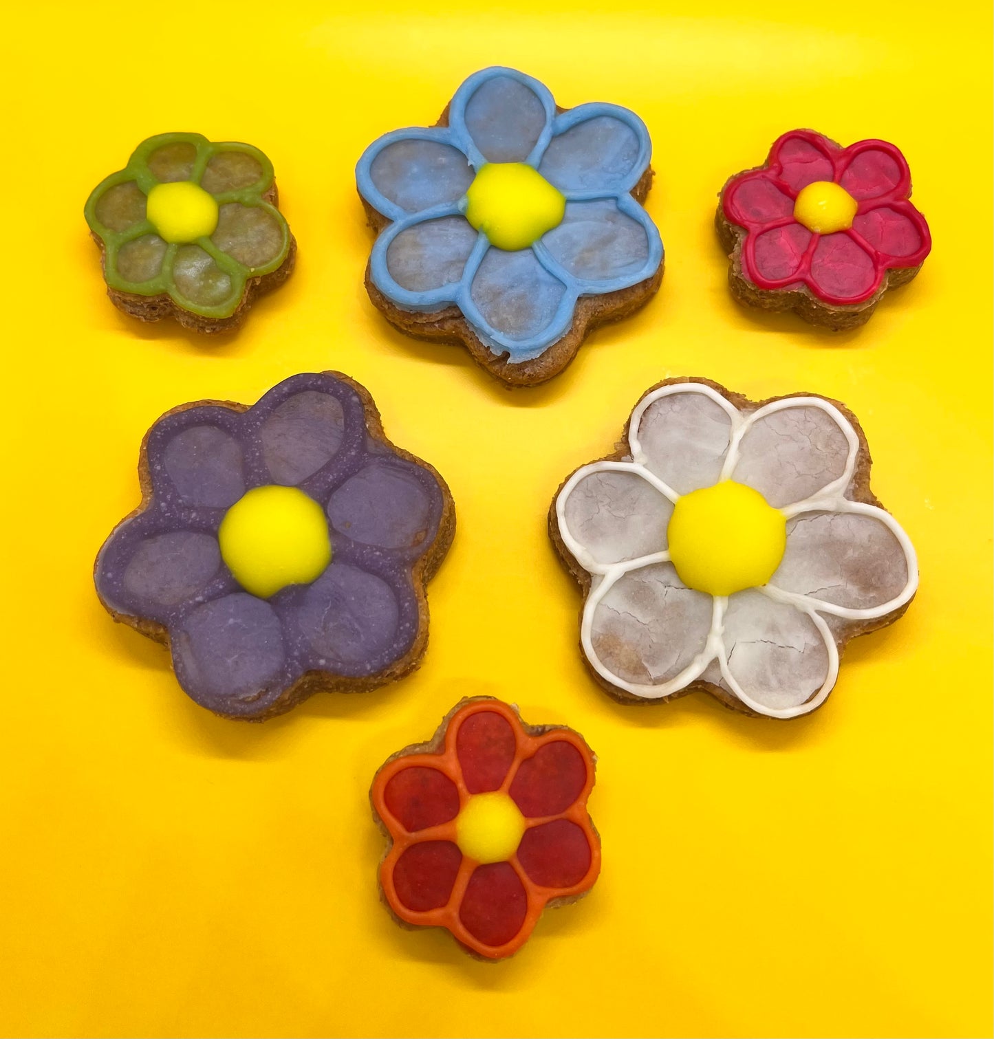 Flower Power Biscuits